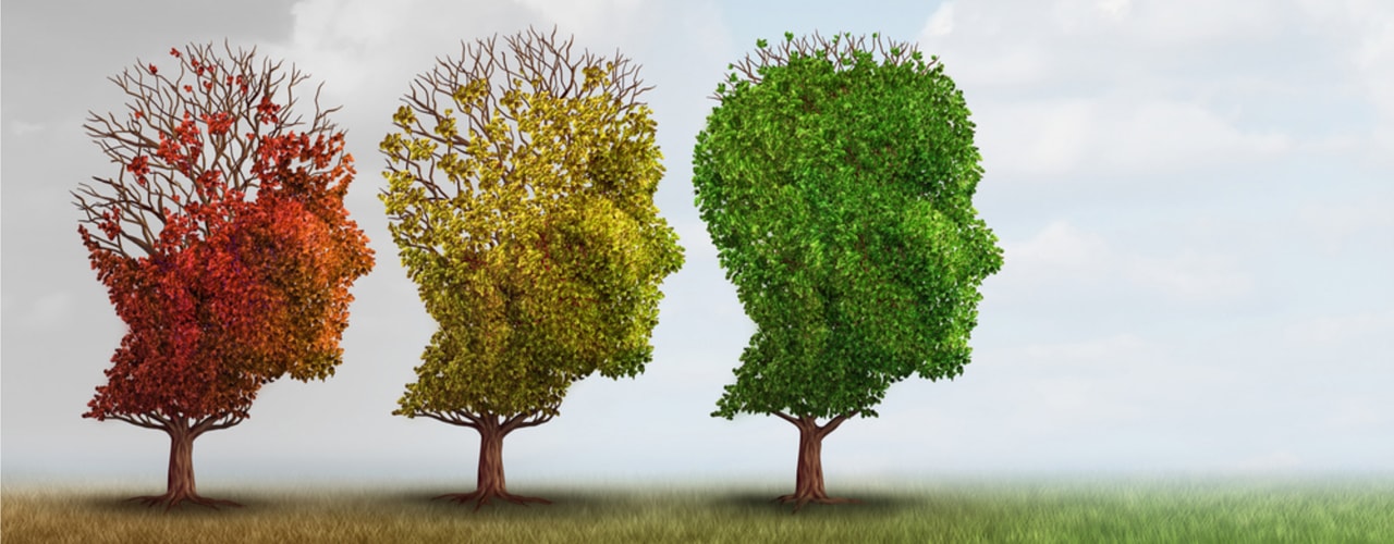 What is Dementia | Advice on Dementia | Care Agency in Yeovil