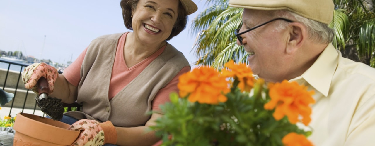 Gardening As You Grow Older